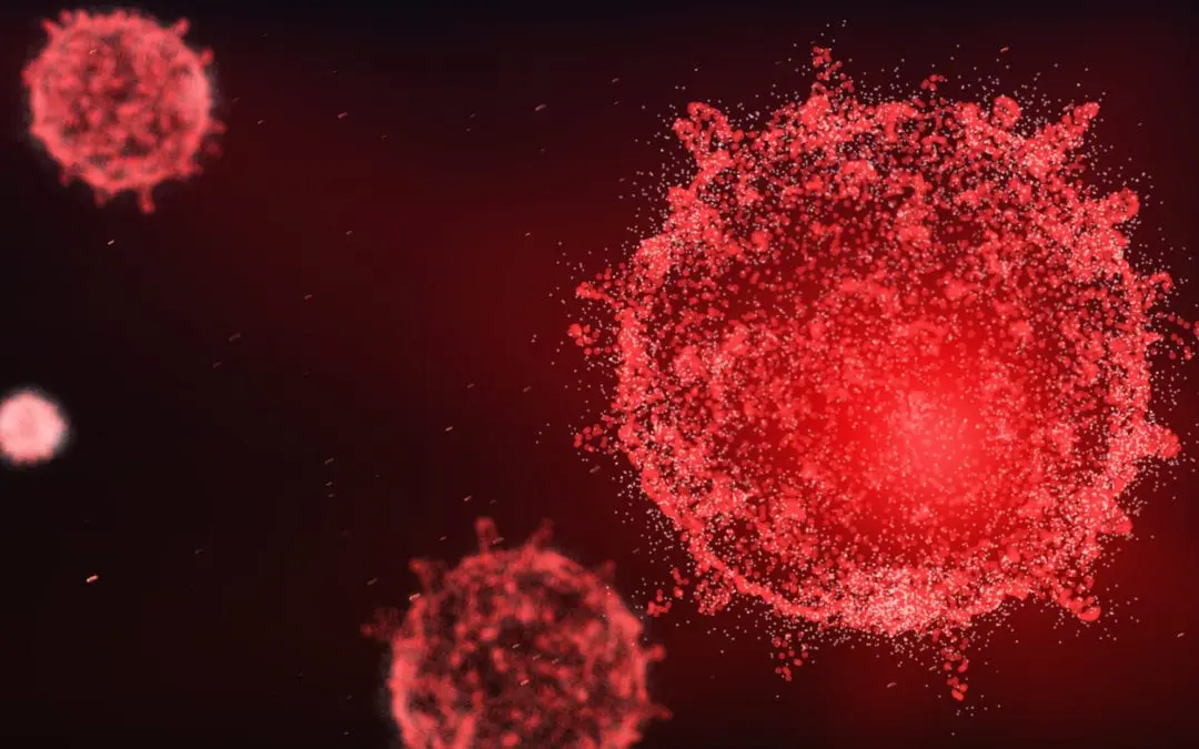 Continuité pédagogique