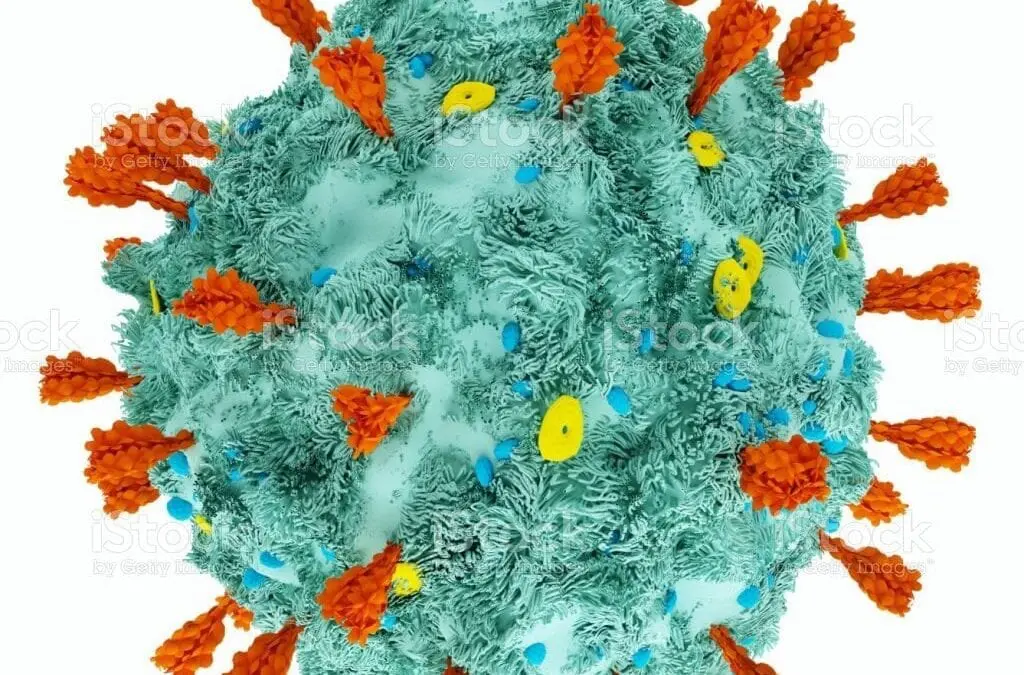 Alerte en BTS SAM deuxième année