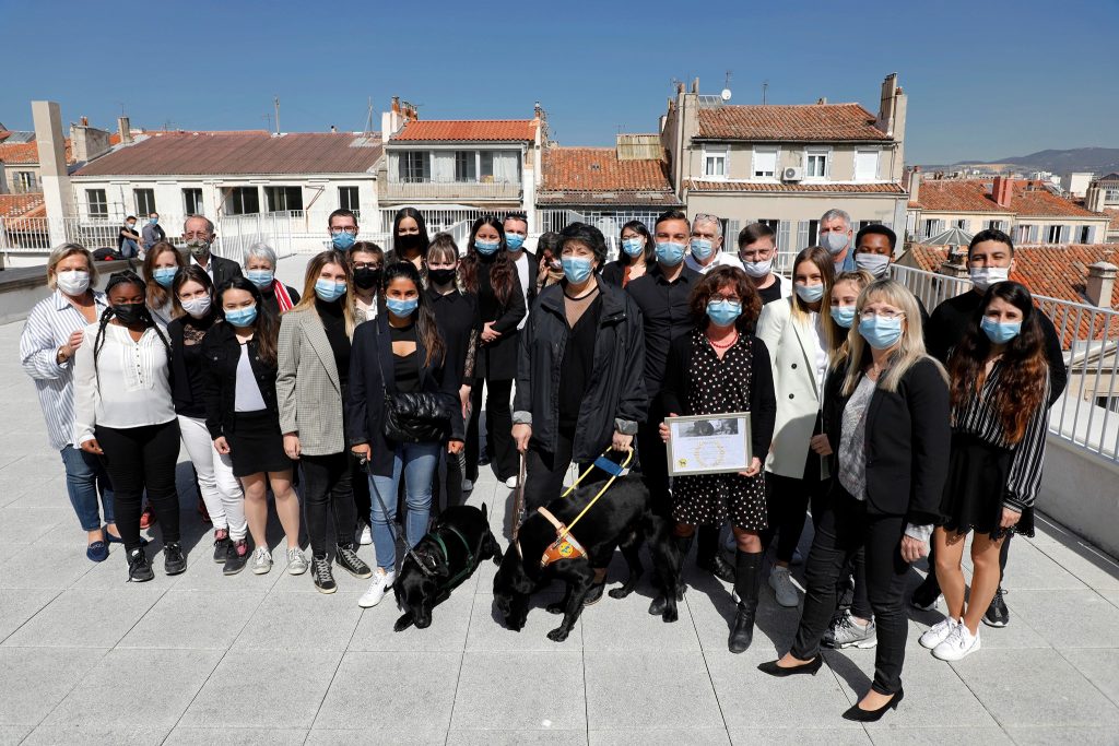 Chiens guides d'aveugles sur la terrasse de Charles Péguy