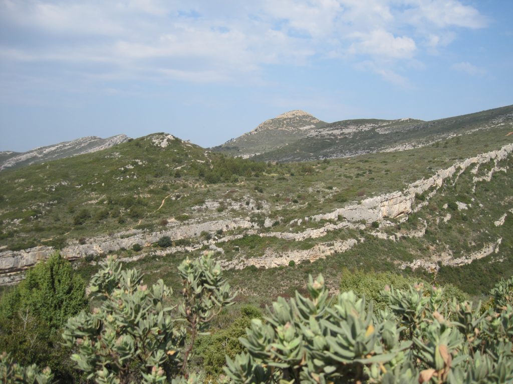 Collines de Pagnol à Aubagne