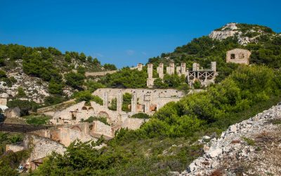 Friche de l’Escalette et biodiversité pour les 1 STMG